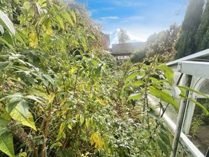 Rear- click for photo gallery